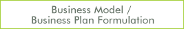 Business Model / Business Plan Formulation