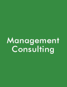 Management Consulting