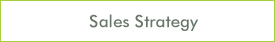 Sales Strategy